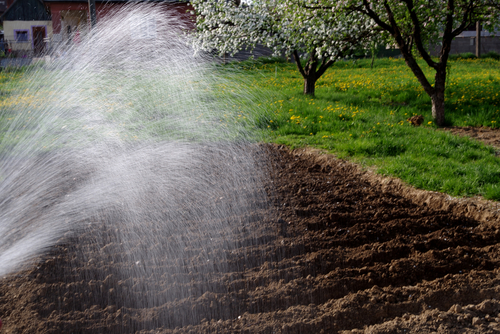 DIY Garden Watering Systems