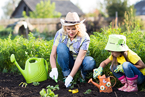 protect-your-garden-from-pests