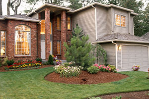 Residential Lawn
