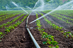 Irrigation Leaks 