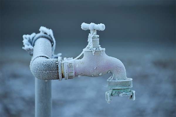 winterize irrigation system