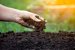 soil-test
