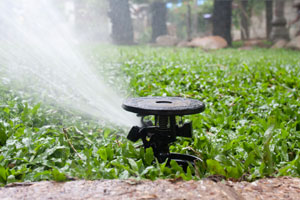 Sprinkler System